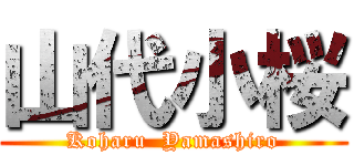 山代小桜 (Koharu  Yamashiro)