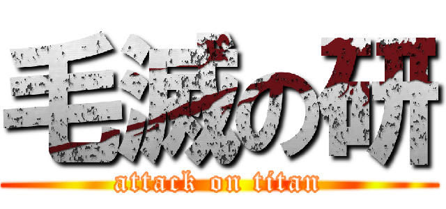 毛滅の研 (attack on titan)