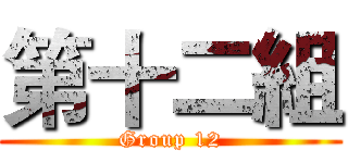 第十二組 (Group 12)