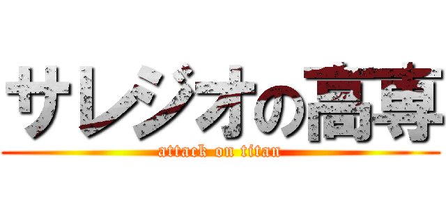 サレジオの高専 (attack on titan)