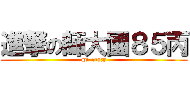 進撃の師大國８５丙 (go  crazy)