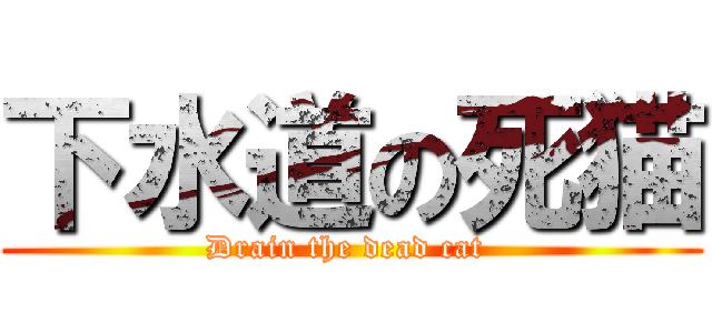 下水道の死猫 (Drain the dead cat )