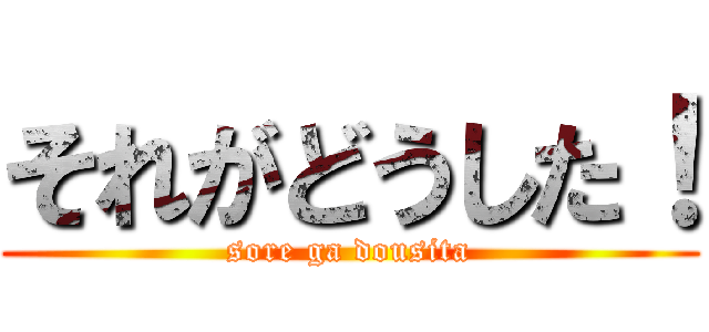 それがどうした！ (sore ga dousita)