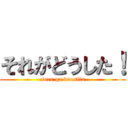 それがどうした！ (sore ga dousita)