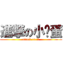 進撃の小傻蛋 (attack on 熊吉)