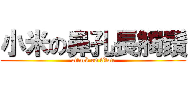小米の鼻孔長觸鬚 (attack on titan)