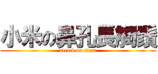 小米の鼻孔長觸鬚 (attack on titan)