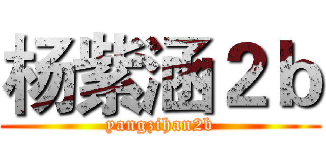 杨紫涵２ｂ (yangzihan2b)