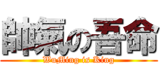 帥氣の吾命 (WuMing is King)