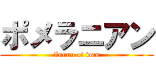 ポメラニアン (Inunu of wan)