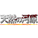 天然の河原 (Kawahara is strange)