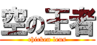 空の王者 (chicken leus)