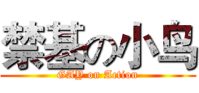 禁基の小鸟 (GAY on Action)