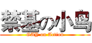 禁基の小鸟 (GAY on Action)