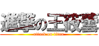 進撃の王筱蕓 (attack on titan)