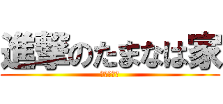 進撃のたまなは家 (お金がない)