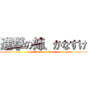 進撃の姉、かなすけ (attack on titan)