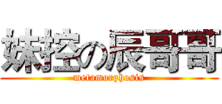 妹控の辰哥哥 (metamorphosis)
