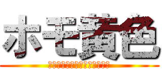 ホモ黄色 (黄色はホモはっきりわかんだね)