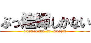 ぶっ煌輝しかない (kiramekisai  in  keishin)