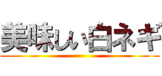 美味しい白ネギ ()