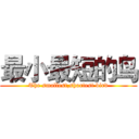 最小最短的鸟 (The smallest,shortest bird)