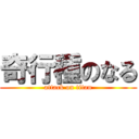 奇行種のなる (attack on titan)