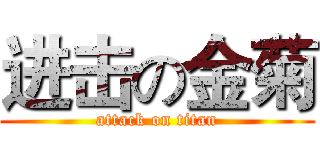 进击の金菊 (attack on titan)
