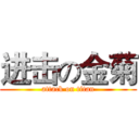 进击の金菊 (attack on titan)
