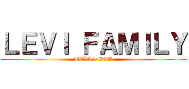ＬＥＶＩ ＦＡＭＩＬＹ (TEXAS VSA)