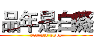 品年是白癡 (you are pupu)