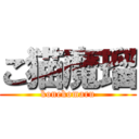 こ猫魔瑠 (konekomaru)