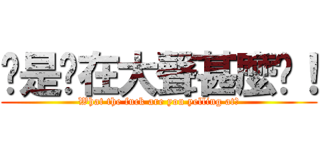 你是你在大聲甚麼啦！ (What the fuck are you yelling at?)