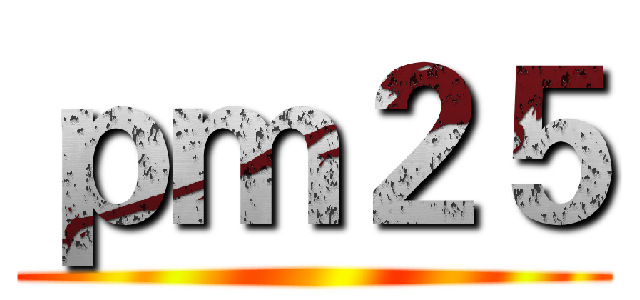 ｐｍ２５ ()