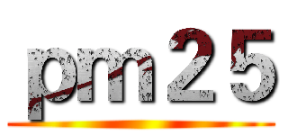 ｐｍ２５ ()