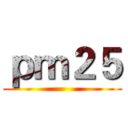 ｐｍ２５ ()
