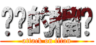 进击的榴莲 (attack on titan)