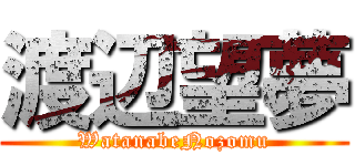 渡辺望夢 (WatanabeNozomu)
