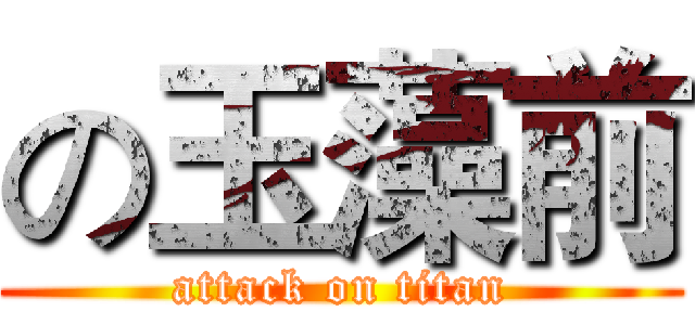 の玉藻前 (attack on titan)