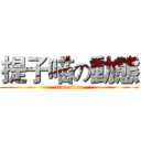 提子喵の動態 (time line)