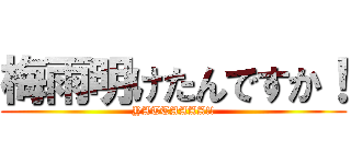 梅雨明けたんですか！ (YATTAAAA!!)