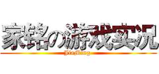 家铭の游戏实况 (JiaMing )
