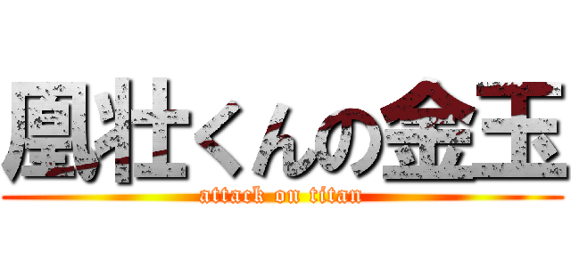 凰壮くんの金玉 (attack on titan)