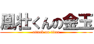 凰壮くんの金玉 (attack on titan)