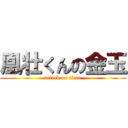 凰壮くんの金玉 (attack on titan)