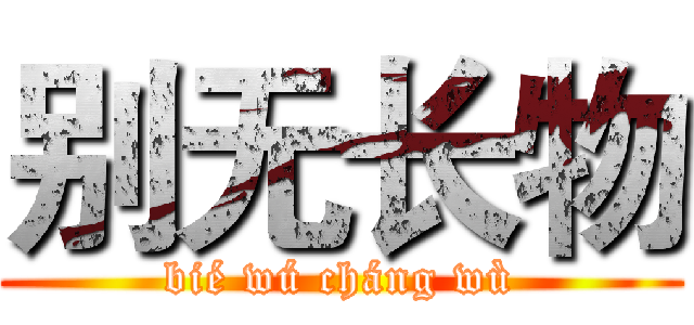 别无长物 (bié wú cháng wù)