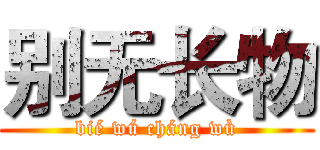 别无长物 (bié wú cháng wù)