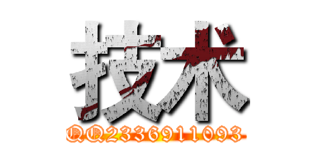 技术 (QQ2336911093)