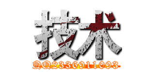 技术 (QQ2336911093)