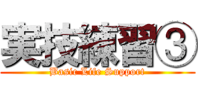 実技練習③ (Basic Life Support)